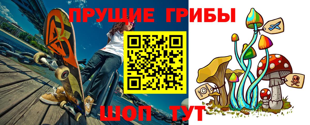 Семилуки  Галлюциногенные грибы Psilocybine cubensis  что такое наркотик  Вход с VPN 