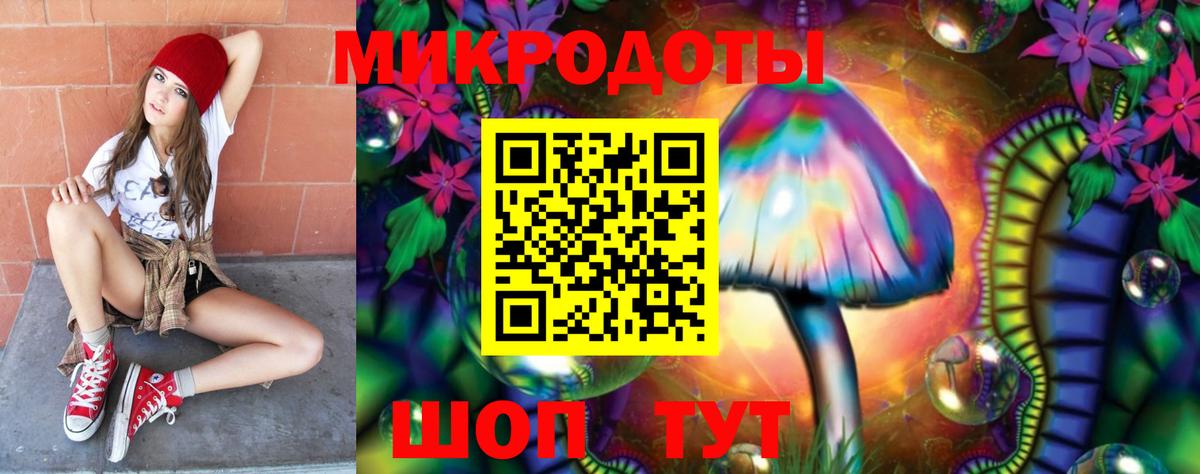 Галлюциногенные грибы Psilocybine cubensis Семилуки